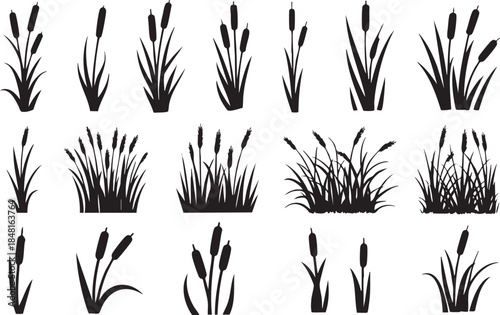 Collection of various grass silhouettes on white background Vector, illustration
