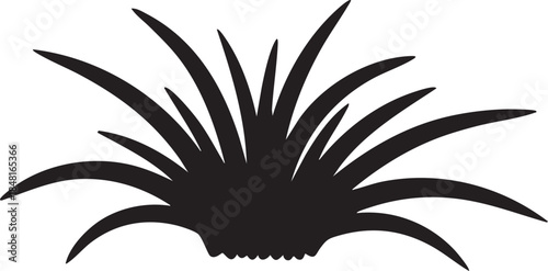 Coarse Crabgrass Tuft Wide Spreading Leaves Silhouettes isolated on white background