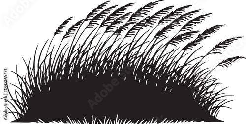 Dense Tall Dune Grasses Leaning Windswept Silhouettes isolated on white background