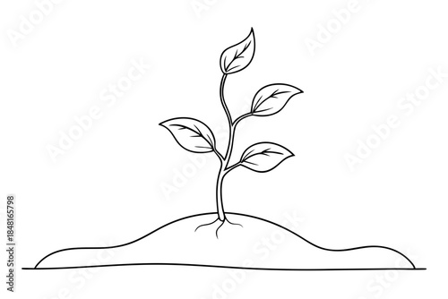 New Life Growth Concept Small Sprout in Ground