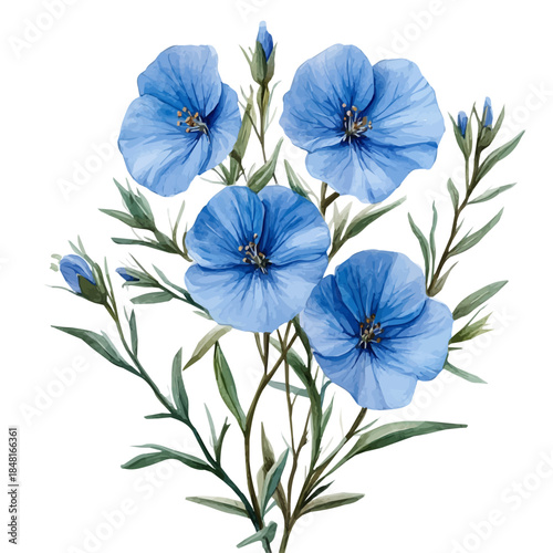 Lechenaultia Flower, charming watercolor clipart, isolated on a white background.