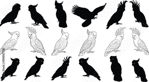 Silhouette and Line Art Cockatoo Illustrations in Various Poses for Ornithology, Wildlife Design, Tattoo, and Artistic Reference Use