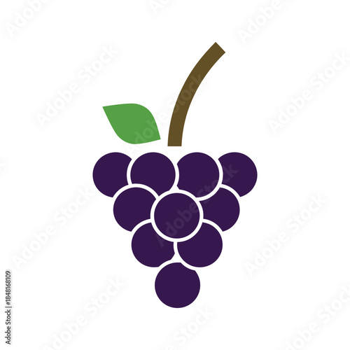 Obraz na plátně Illustration of a bunch of grapes Vector