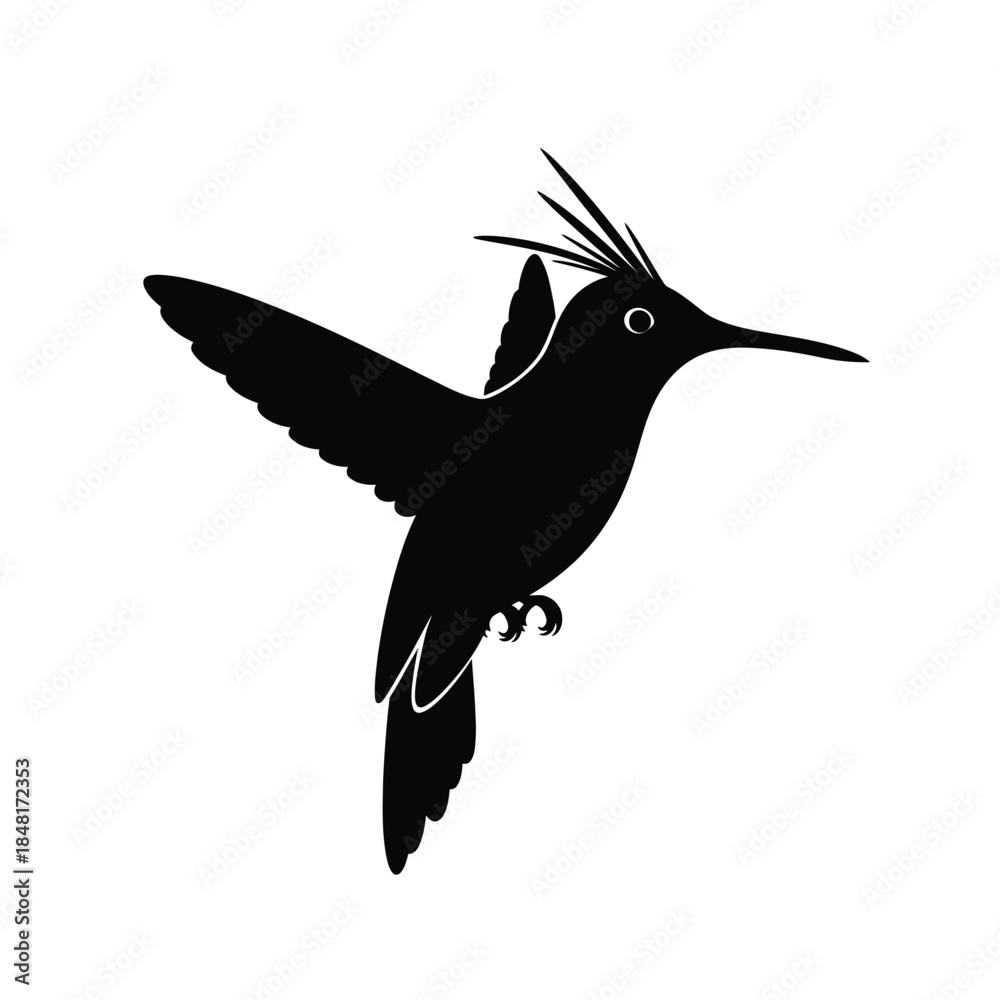 Obraz premium Black silhouette of a hummingbird in flight