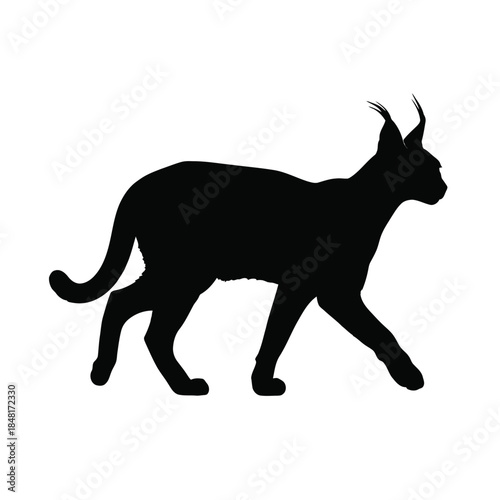 Black silhouette of a walking cat with large ears