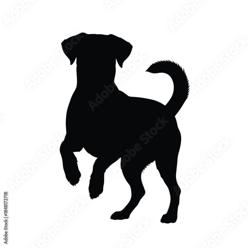 Black silhouette of a dog standing on its hind legs