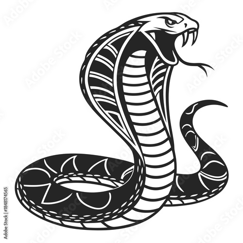 Black and white illustration of a cobra snake coiled and ready to strike
