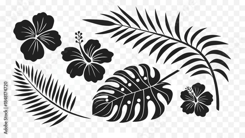 Black and white tropical flowers and leaves illustration set for design projects