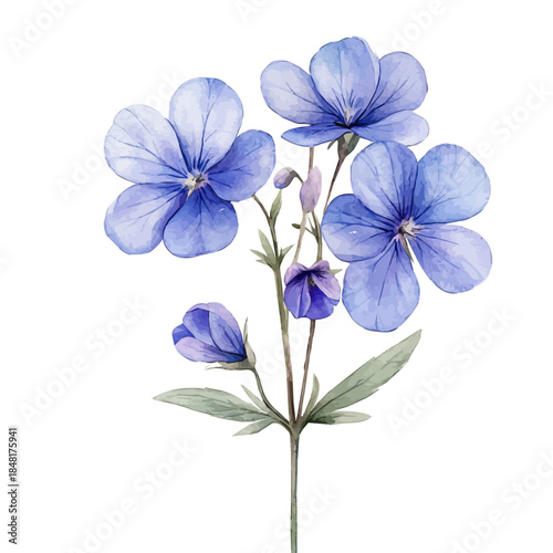 Honesty Flower, playful watercolor vector depicting lively antics and expressive gestures, isolated on a white background.