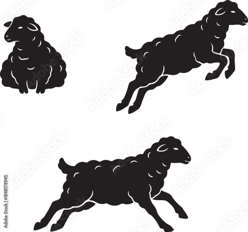 Three black silhouette sheep in various poses including sitting jumping and running on a white background representing farm animals and movement also transparent background