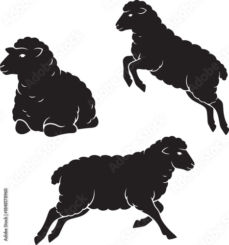 Three black silhouette sheep in various poses including sitting jumping and running on a white background representing farm animals and countryside life also transparent background