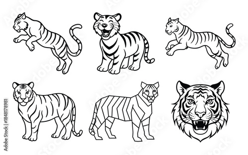 Cute cartoon tiger vector illustration set featuring striped wild animals in a simple zoo and safari style