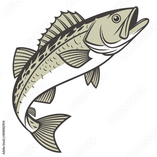 fish, sea, animal, vector, illustration, cartoon, fishing, water, aquarium, ocean, nature, goldfish, underwater, carp, swimming, art, tropical, food, fin, lake, silhouette, marine, wildlife, aquatic