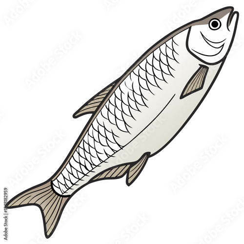 fish, animal, isolated, food, fishing, nature, sea, white, tail, water, seafood, fin, illustration, bird, vector, mackerel, tuna, ocean, life, underwater, smoked