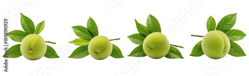 Green Peach Prunus persica isolated on white, fresh young unripe peaches with green leaves, healthy organic stone fruit, botanical garden nature, set of 4