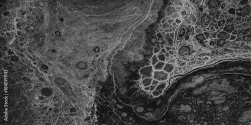 Seamless black and white abstract background featuring a vintage marble stone texture and grey floral lace pattern for an elegant wallpaper design backdrop