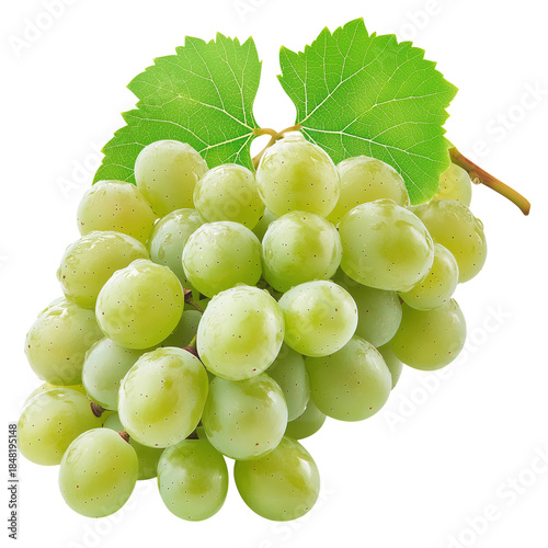 Fresh Green Grapes on a White Background Ready for Eating or Cooking