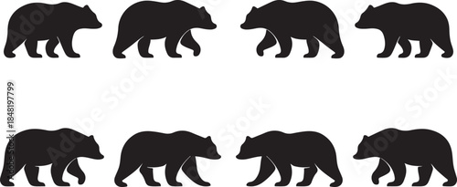 Eight black vector bear silhouettes walking in a row on a white background. Animal silhouette vector art illustration design template.