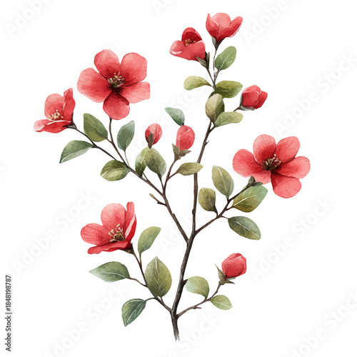 Manzanita Flower, clipart watercolor vector with vivid accents and harmonious tones, isolated on a white background.