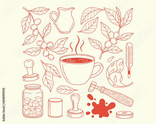 Coffee brewing equipment and plant botanical vector set