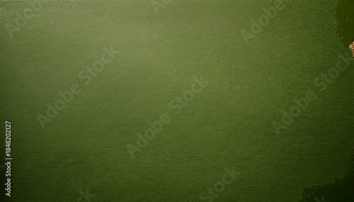 blank olive green paper poster texture conveying the earthy and natural appeal of this hue