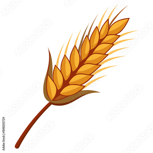Wheat Ear Grain Spike Vector Illustration