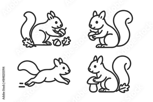 Four stylized squirrel line icons featuring acorn and mushroom elements