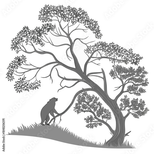 Bear climbing a large tree with leaves on white background animal wildlife