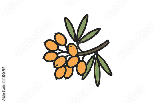 Stylized branch with orange berries and green leaves