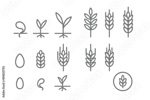 Agriculture icons representing growth and harvest