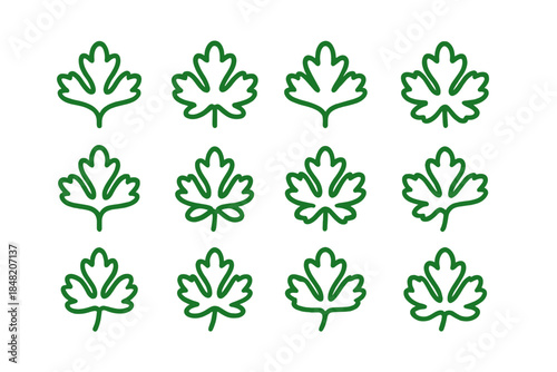Green Parsley Leaves Pattern on Dark Background