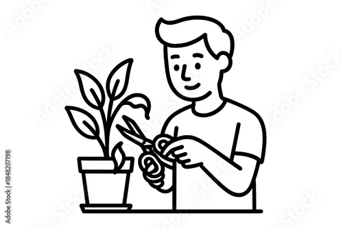 Person trimming houseplant with scissors