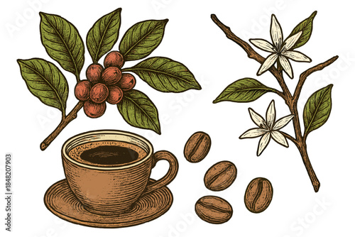 Vintage Coffee Still Life with Beans, Blossoms, and Berries