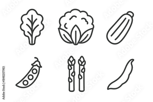 Collection of minimalist vegetable icons on a dark background