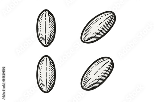 Four stylized beans on a gradient background