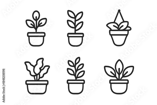 Set of six potted plant icons with outlines on a gray background