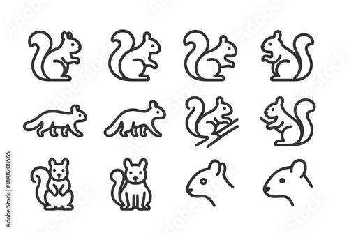 Set of 12 squirrel outline icons on a dark background