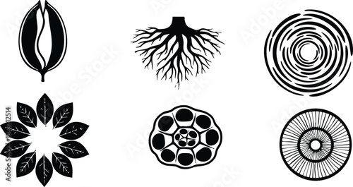 Line art close up botanical icon set six seed root cross section tree ring flower petal silhouettes arranged on white background minimal flat vector clean composition