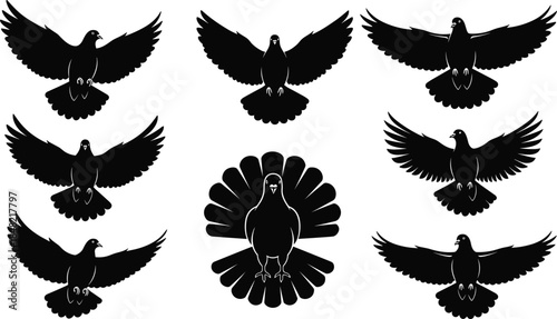 Flying bird silhouette set with spread wings dove pigeon poses isolated on white background black wildlife vector illustration collection