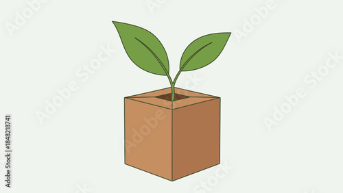 Small green plant with two leaves growing in a brown cardboard box, symbolizing nature and ecology in a bright studio.