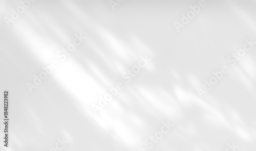 Shadow of leaves tree plant overlay on white wall. Sunlight effect shadow on the wall. Minimal blurred backdrop backgrounds. Summer tropical surface background.