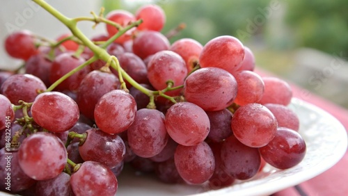 Fotografie bunch of grapes