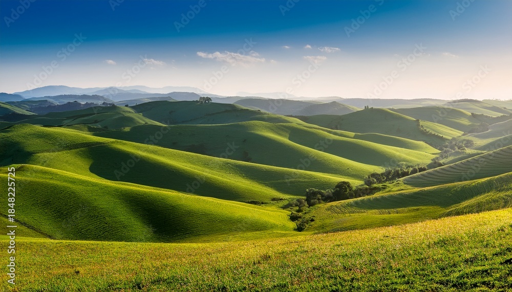 Fototapeta premium panoramic vista of rolling hills