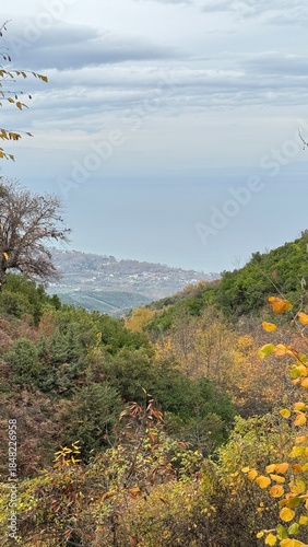 landscape in greek forest an mountains