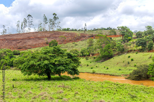
Large, leafy tree on the banks of the Pomba River, in the municipality of Guarani, state of Minas Gerais, Brazil.