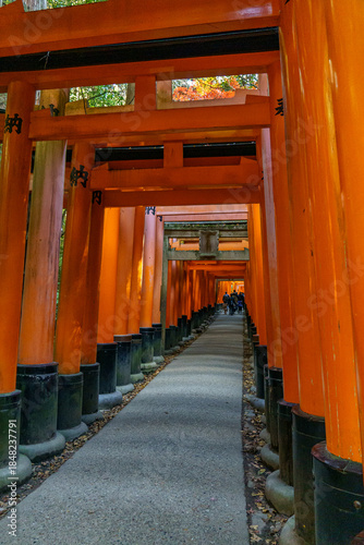 Kyoto in Japan