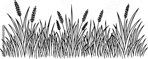 Grass line doodle. Outline grassland or meadow sketch, simple field design. Black grass brush stroke hand drawn texture for garden pattern or lawn. Herb marker vector isolated element