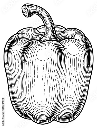 a black and white drawing of a pepper, black, drawing, illustration, pepper, picture, against transparent background