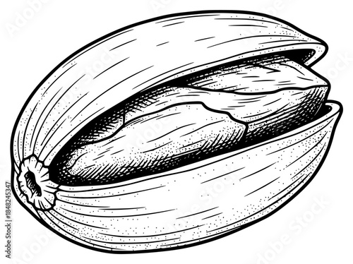 a black and white drawing of a walnut with its shell and seed, black, bowl, drawing, illustration, nut, picture, seed, shell, walnut, against transparent background