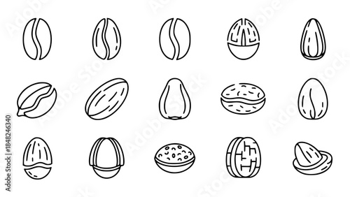 Collection of monochrome nuts displaying diverse shapes in minimalistic lineart or Various nuts show unique form in a simple black line drawing
